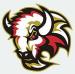 Basingstoke Bison